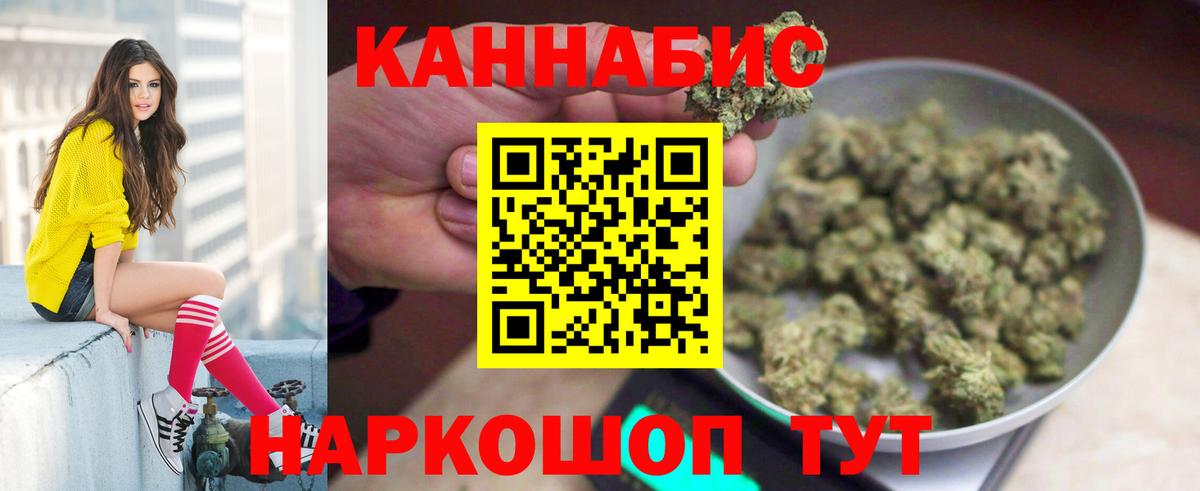 Канабис планчик Реутов